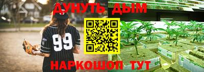 скорость Кандалакша