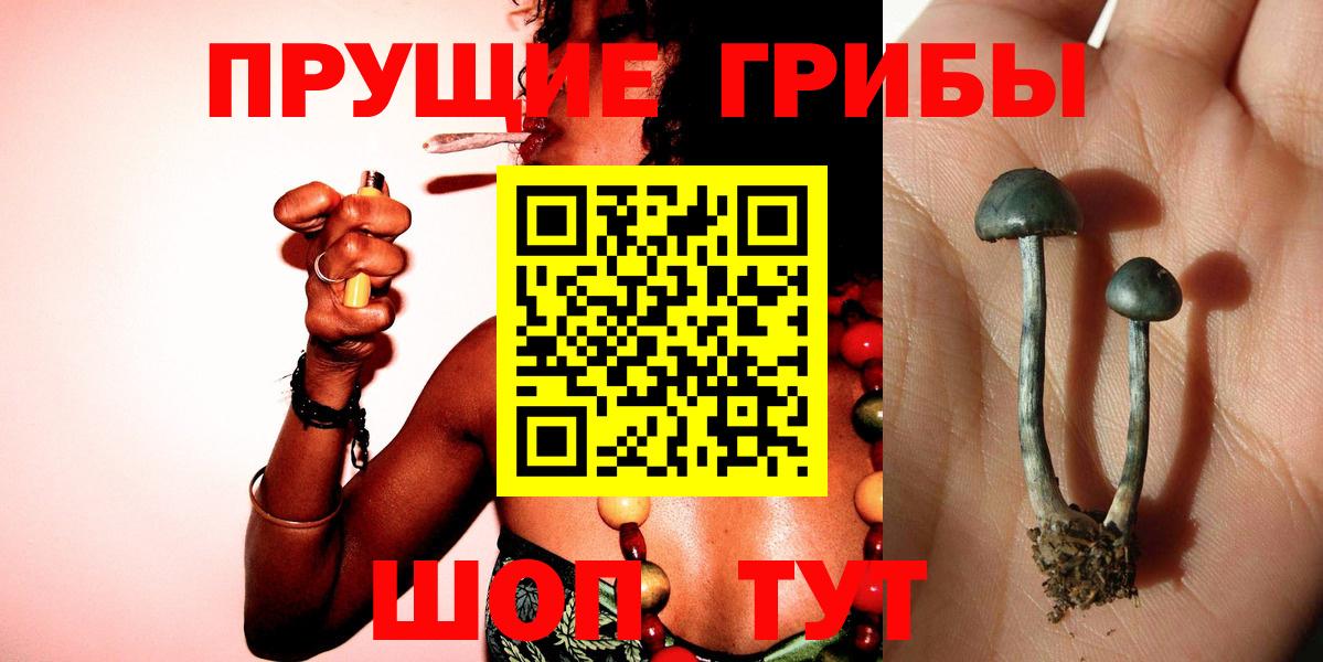 Галлюциногенные грибы Psilocybine cubensis  Псилоцибиновые грибы Magic Shrooms  Вход с VPN  где продают   Майский 